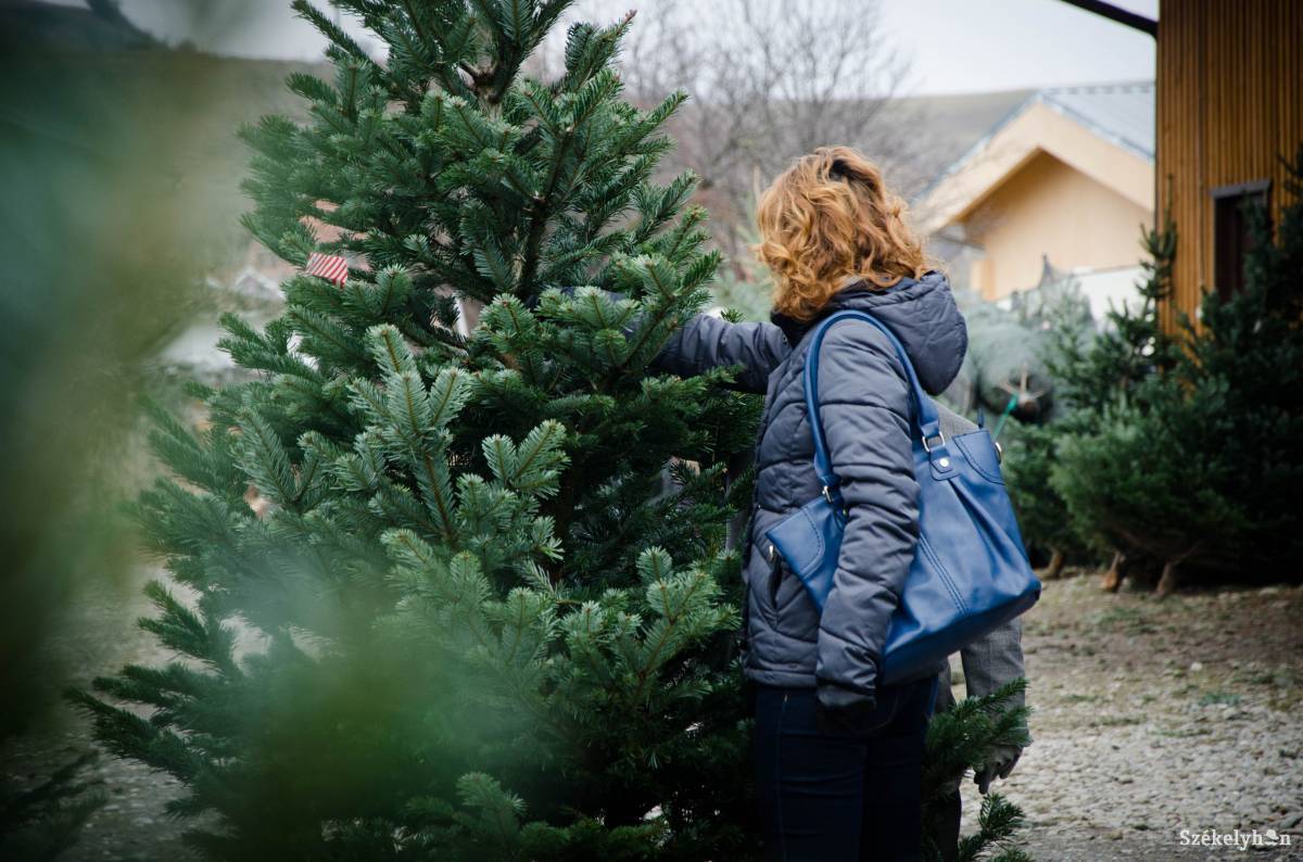 &bullet;  Fotó: Lukácsi Lehel