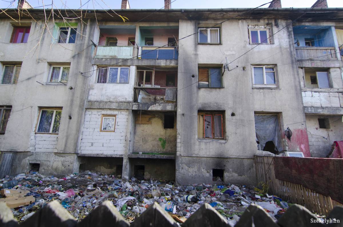 &bullet;  Fotó: Lukácsi Lehel