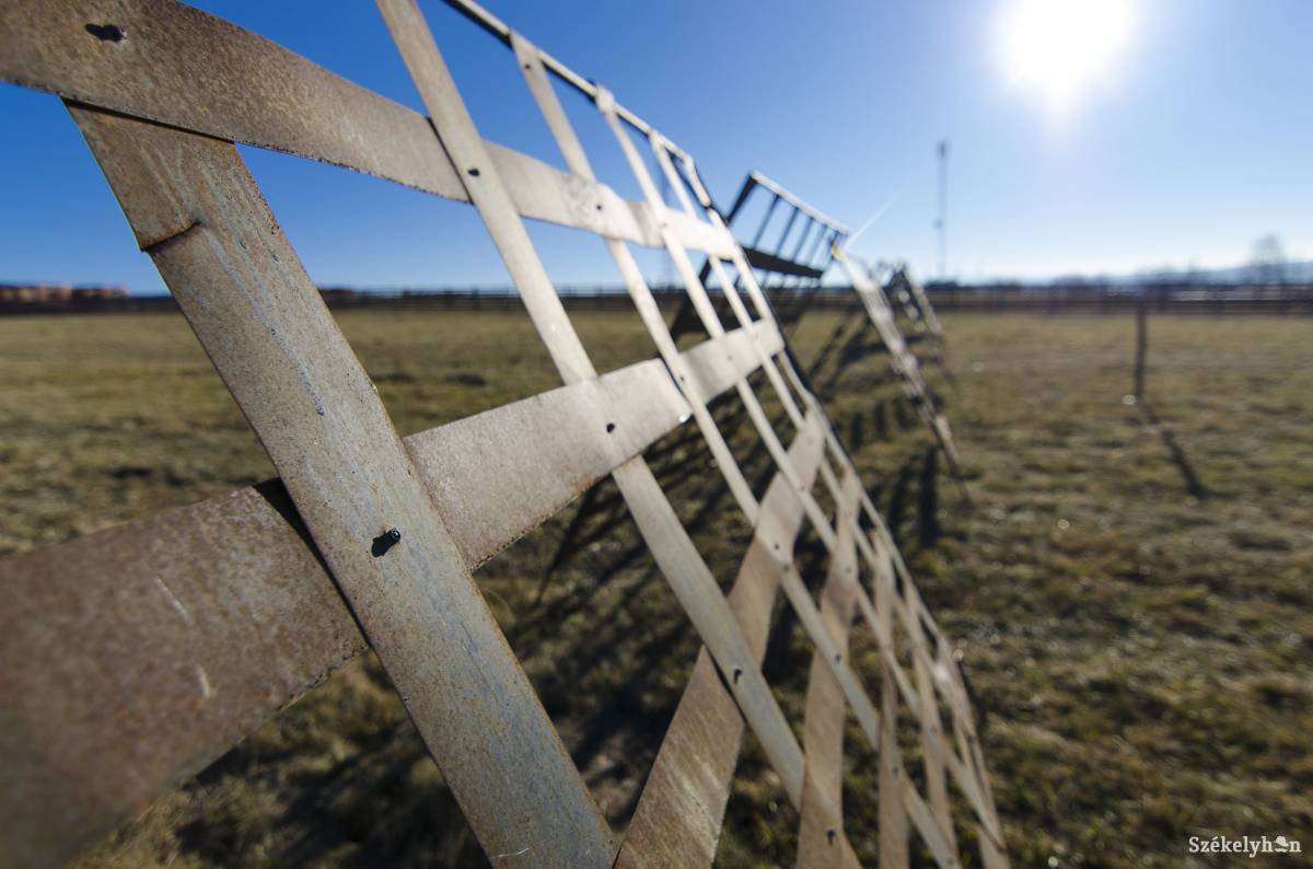 • Fotó: Lukácsi Lehel