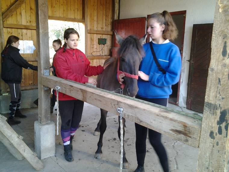 Lovásztanoncok Udvarhelyszéken