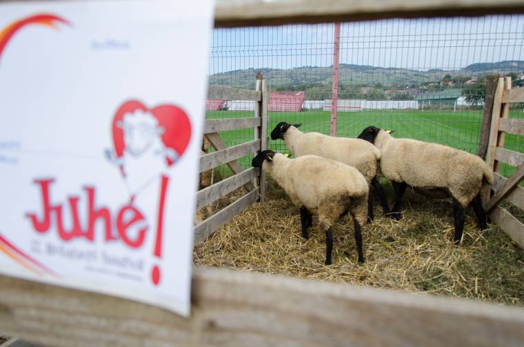 Birkafesztivált rendeztek Nagygalambfalván