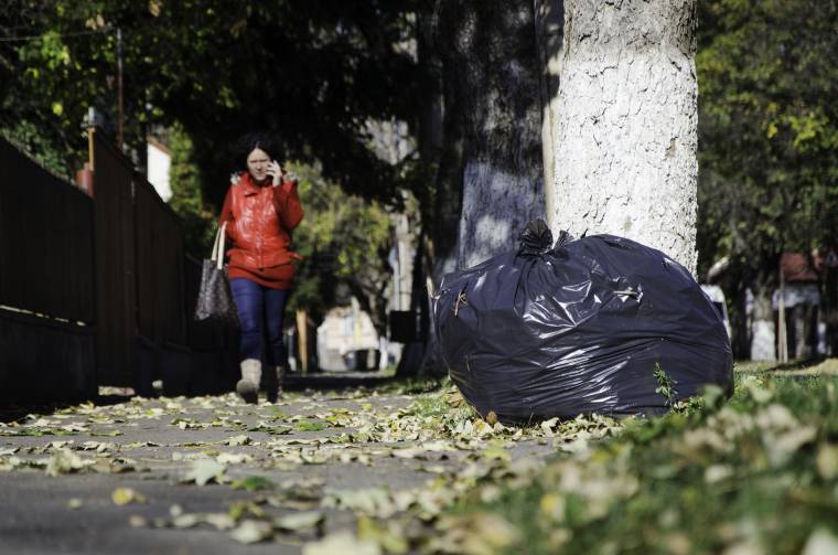 Lombtalanítási negatív rekord