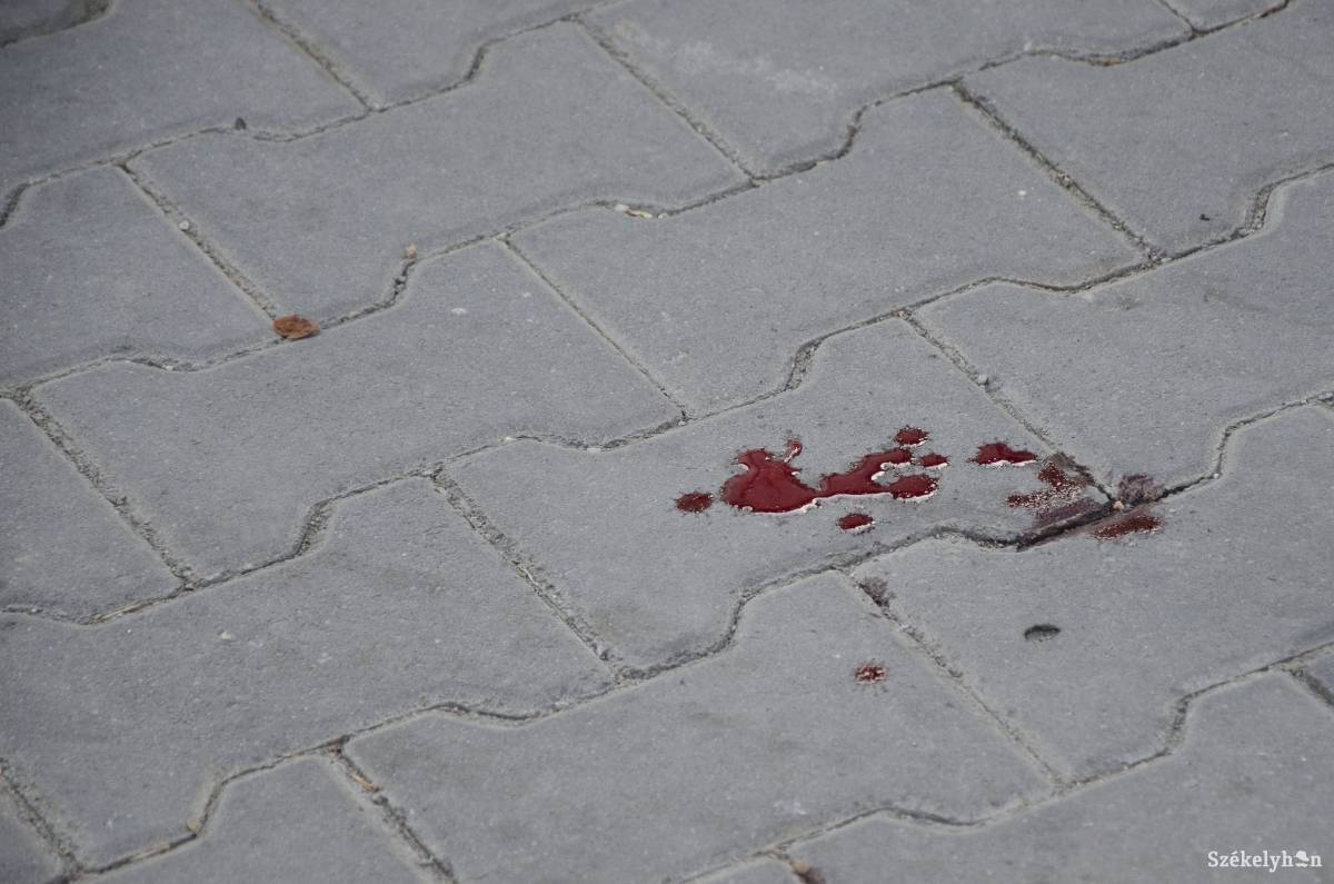 • Fotó: Lukácsi Lehel