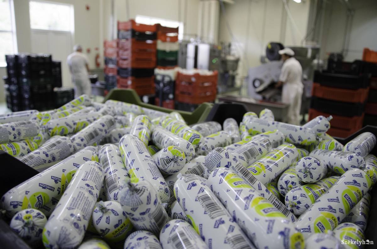 • Fotó: Lukácsi Lehel