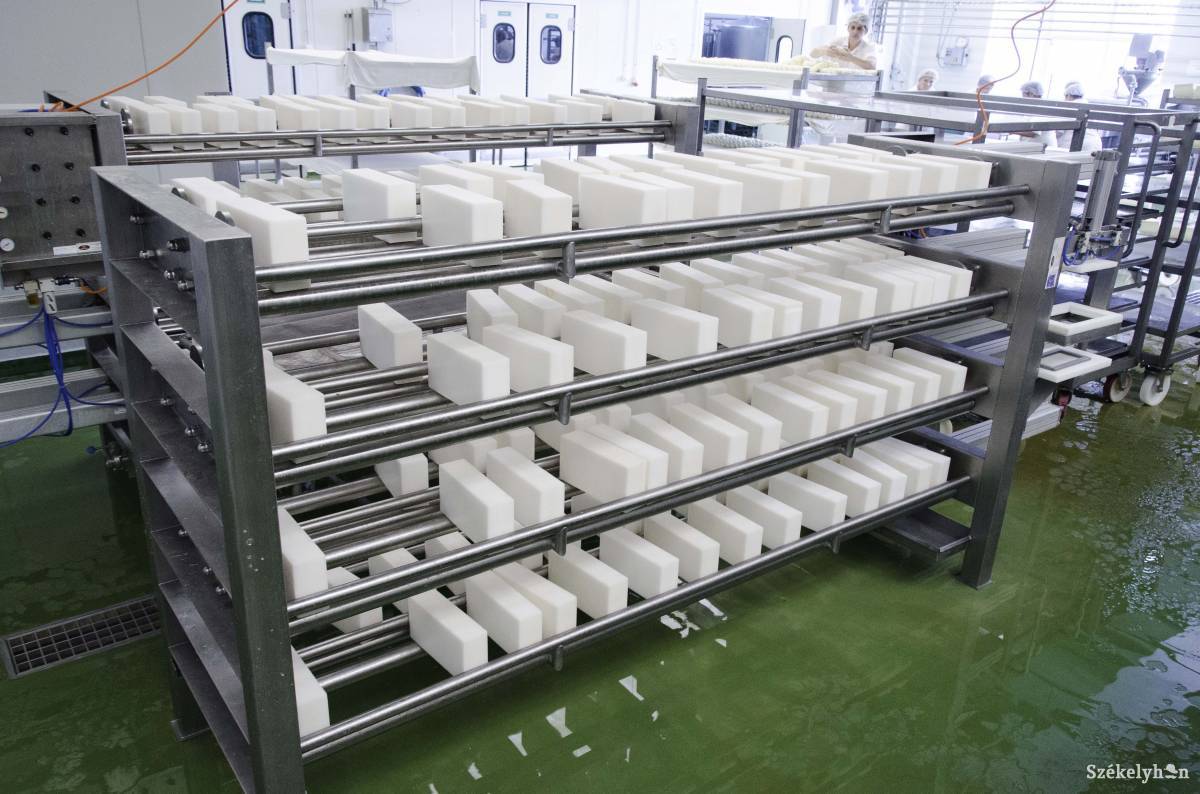 &bullet;  Fotó: Lukácsi Lehel