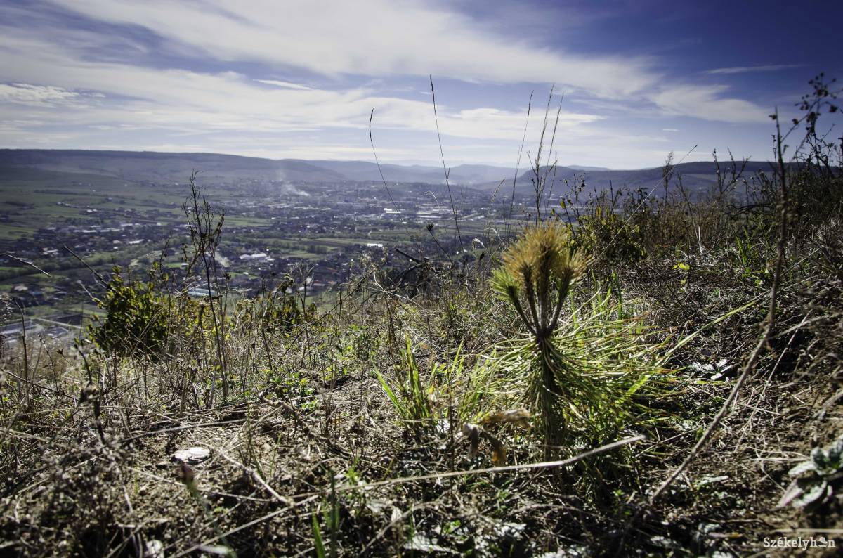 &bullet;  Fotó: Lukácsi Lehel