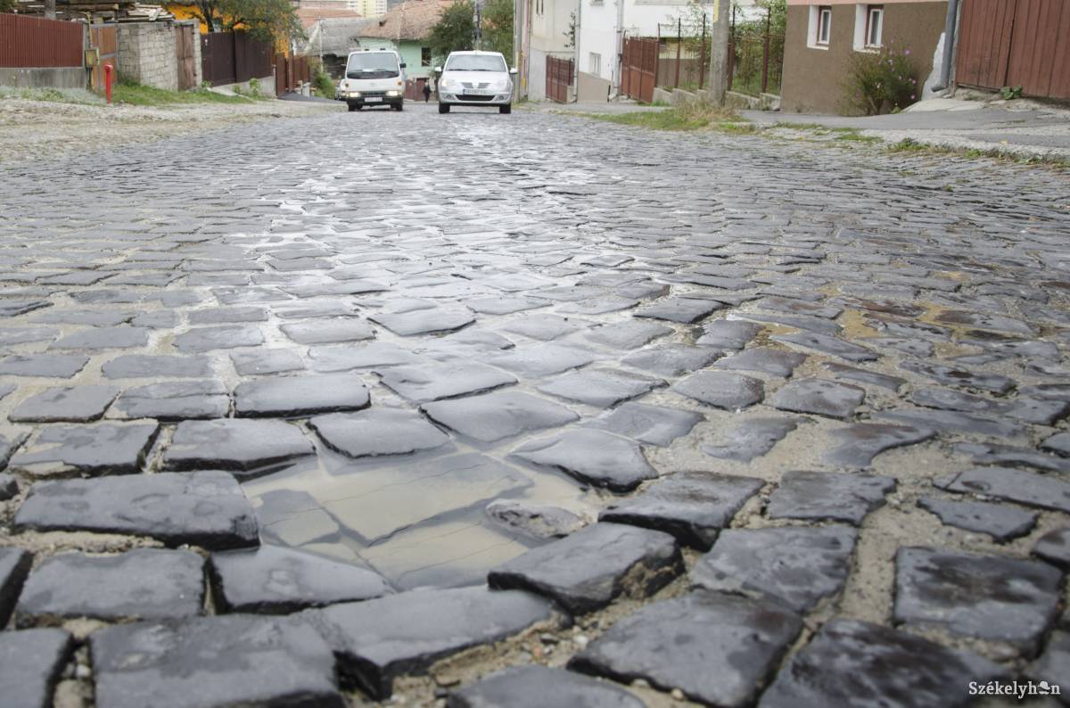 • Fotó: Lukácsi Lehel