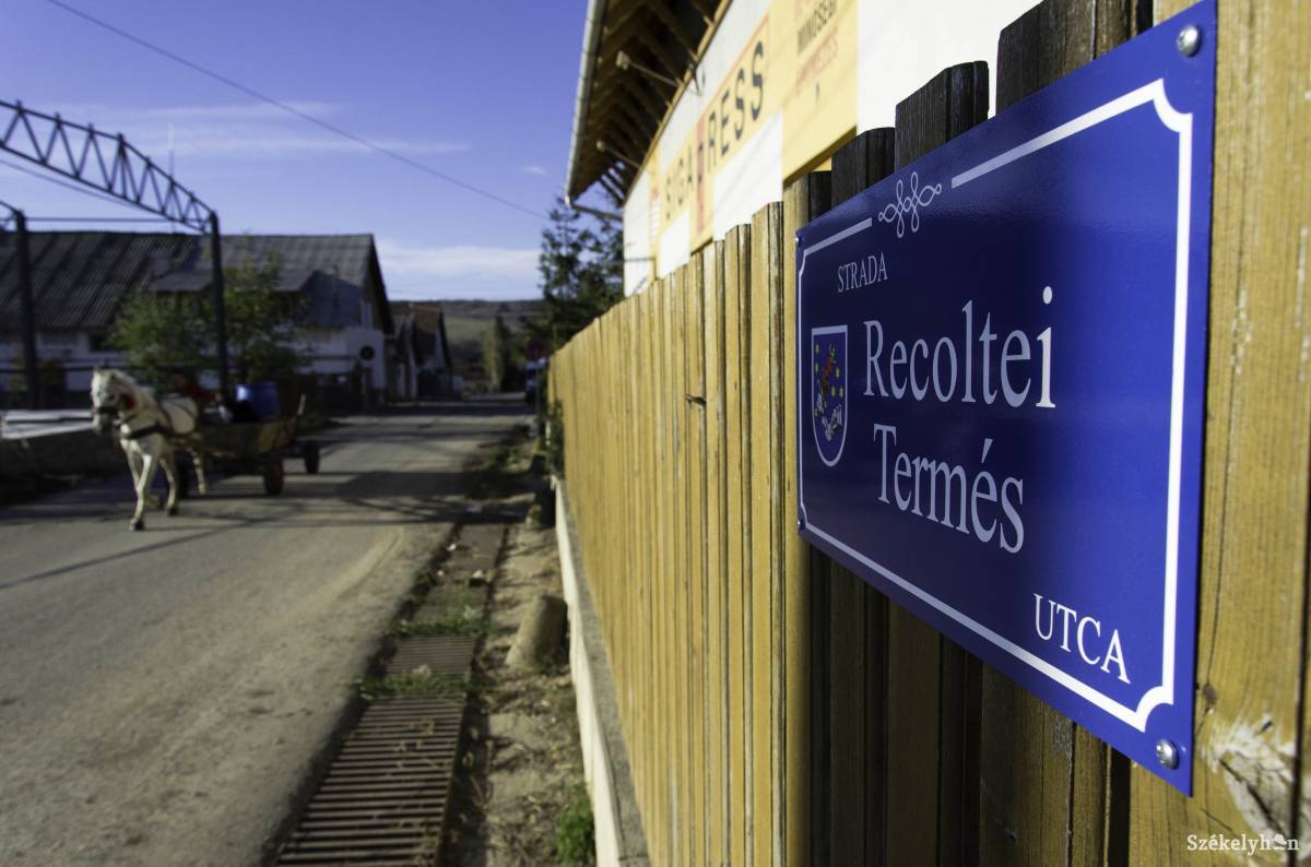 • Fotó: Lukácsi Lehel