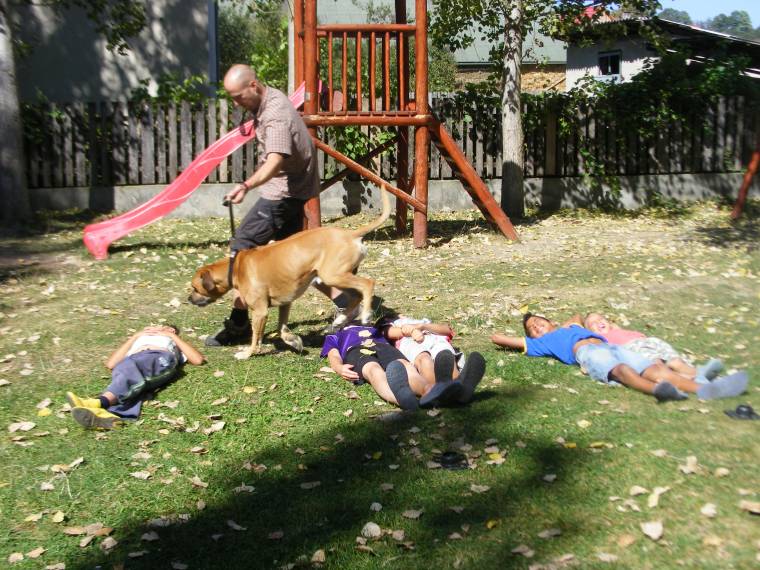 Először tartottak kutyaterápiás foglalkozást Oklándon