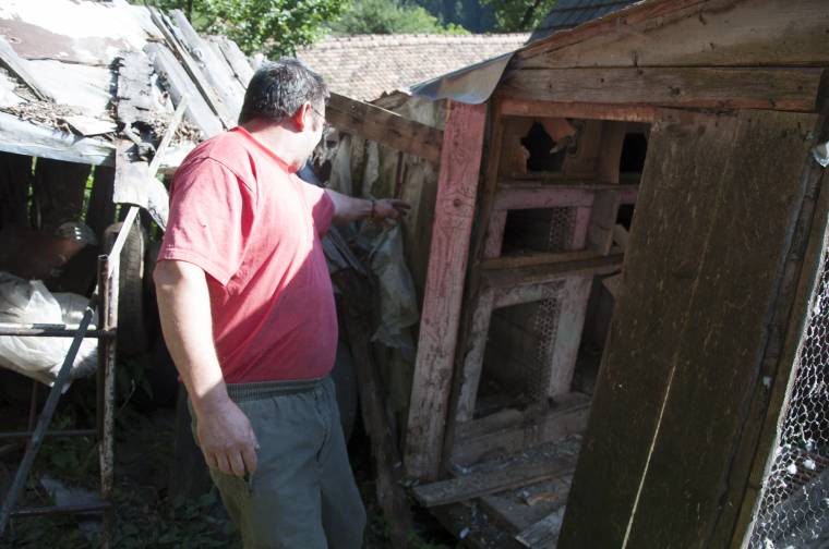 Kilőhetőek a veszélyes vadállatok