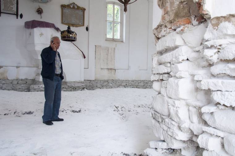 Könnyező házigomba pusztít