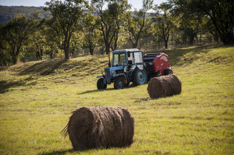 Gazdag termés a kaszálókon