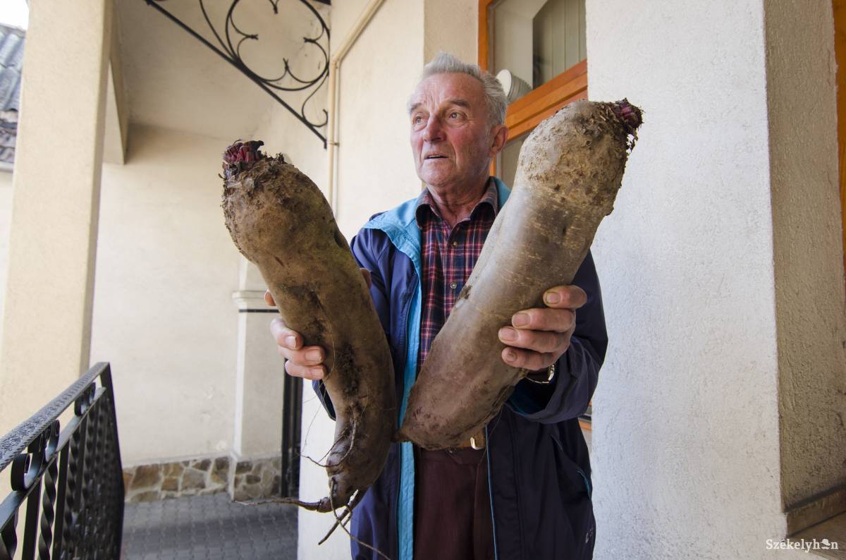 •  Fotó: Lukácsi Lehel