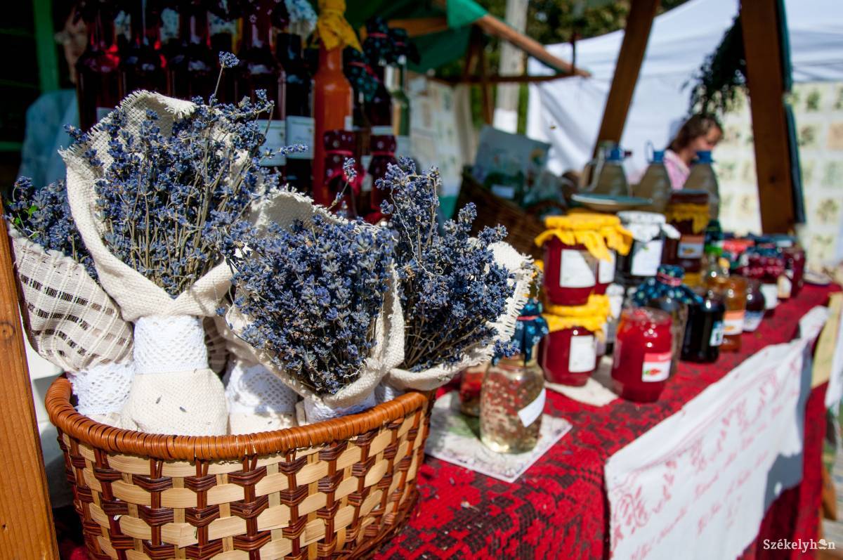 Mindenkinek megéri. A kistermelői vásárok jó bevételi forrást biztosítanak a helyi, minőségi ízeket kínáló gazdáknak • Fotó: Lukácsi Lehel