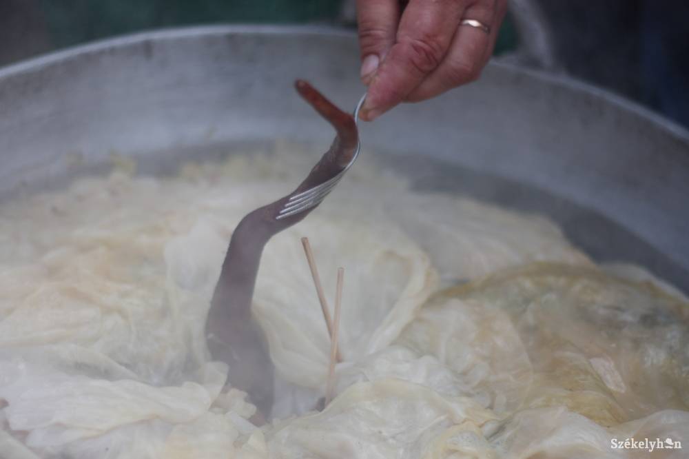 •  Fotó: Veres Réka