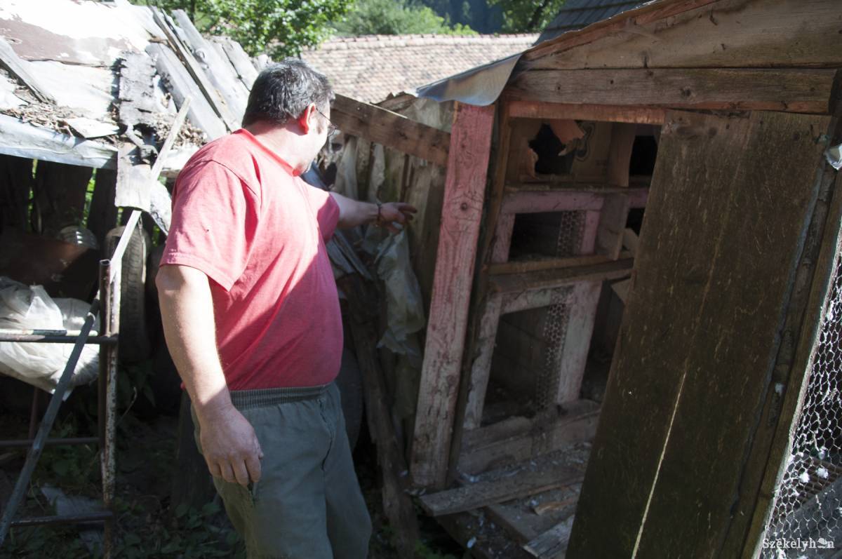 • Fotó: Lukácsi Lehel