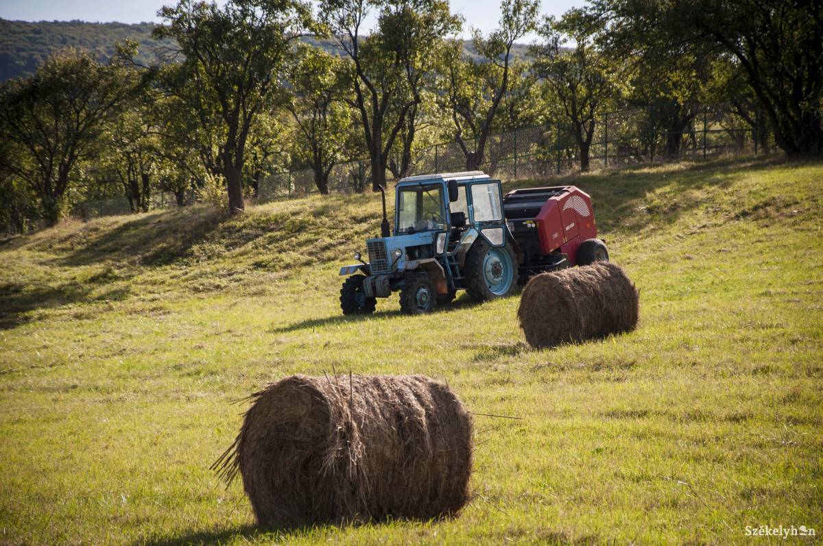 • Fotó: Lukácsi Lehel