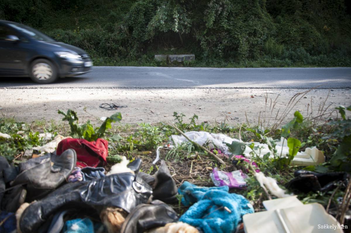 &bullet;  Fotó: Lukácsi Lehel