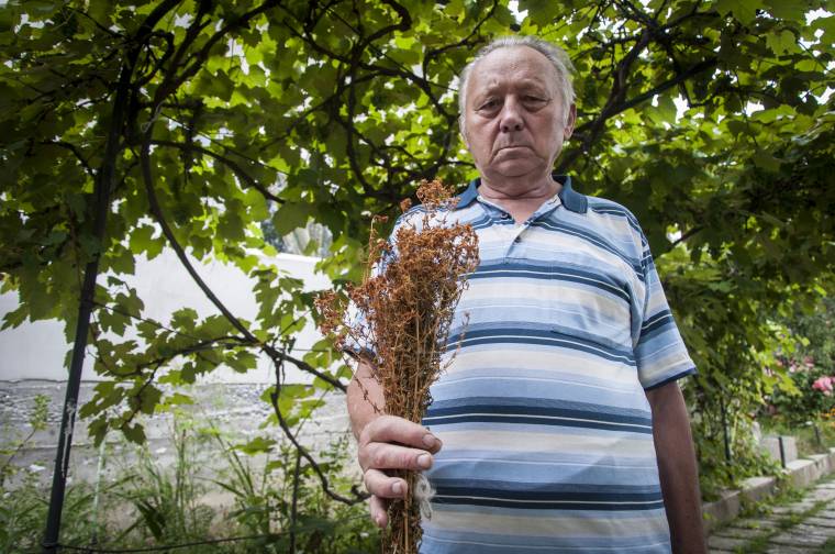 „Minden növény jó valamire”