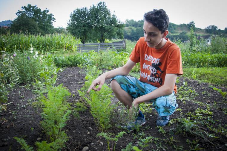 Ellenőrzik a kis kertészek veteményeseit