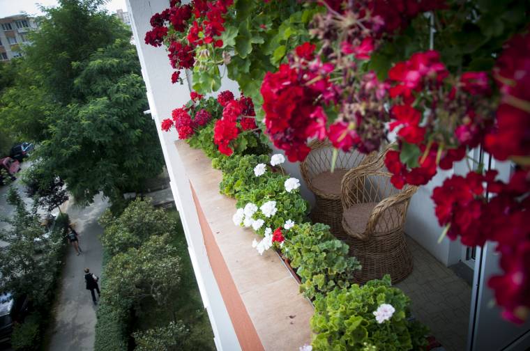 Még lehet kérni a virágokból