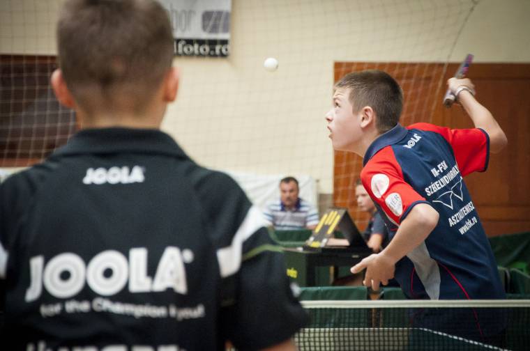 Idén is megrendezik a megyei pingpongbajnokságot