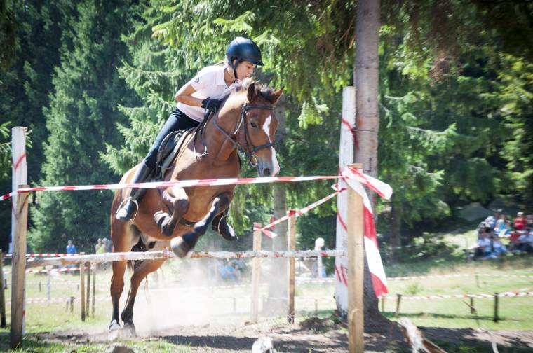 Idén is vágtáznak Udvarhelyszéken