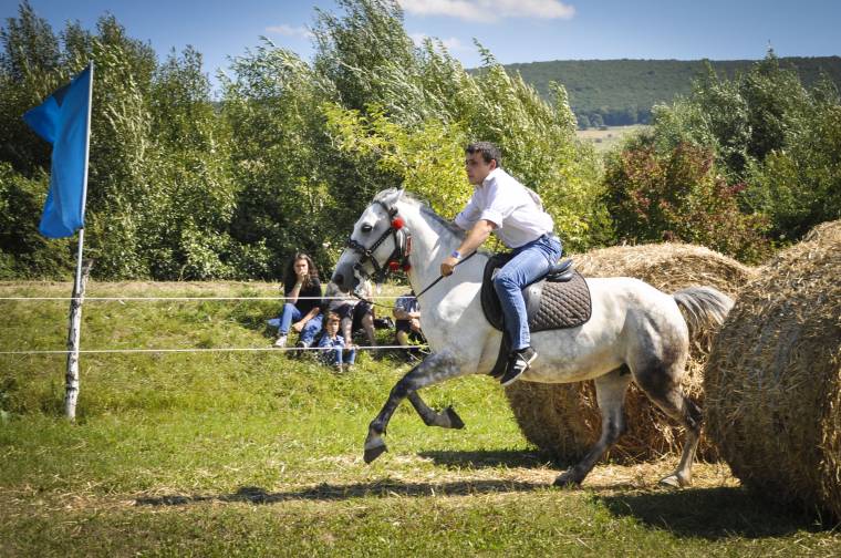 Homoródalmáson lesz az Udvarhelyszéki Vágta döntője