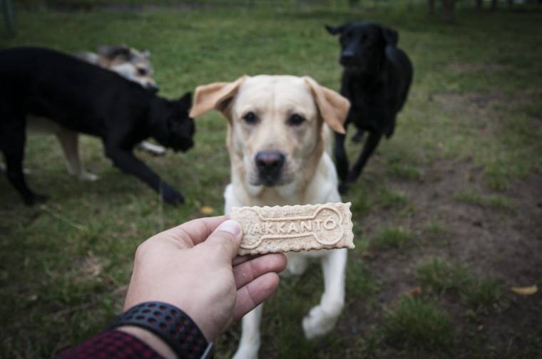 Felavatták a Vakkantó kutyaparkot