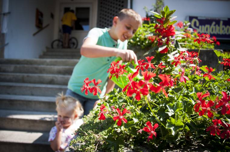 Virágos Székelyudvarhely: verseny egy szebb városért