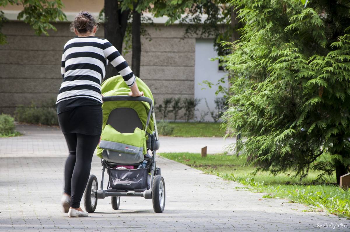 • Fotó: Lukácsi Lehel