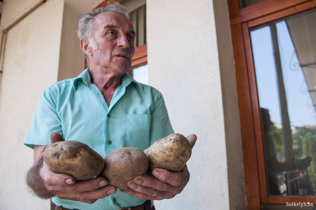 &bullet;  Fotó: Lukácsi Lehel