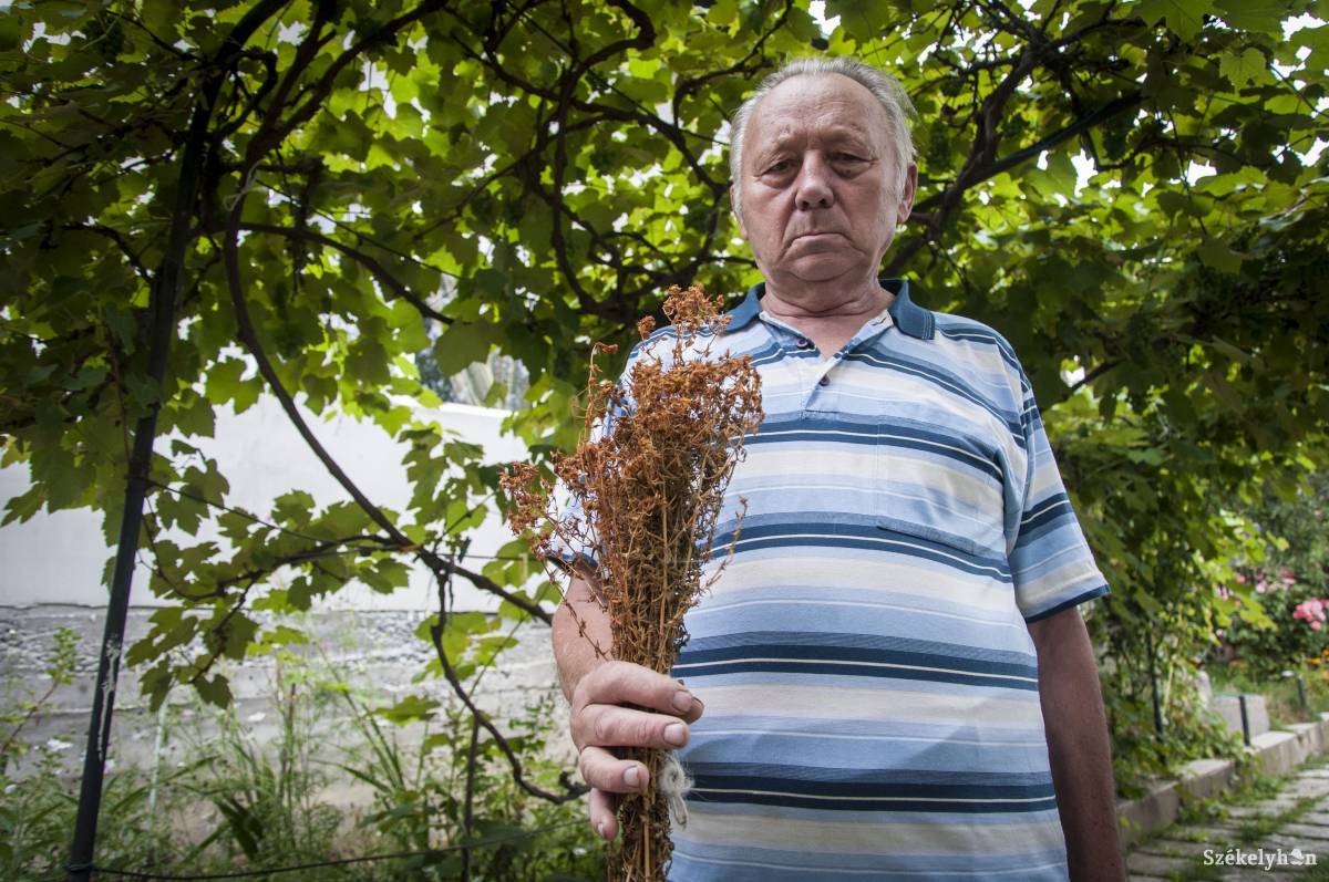 • Fotó: Lukácsi Lehel