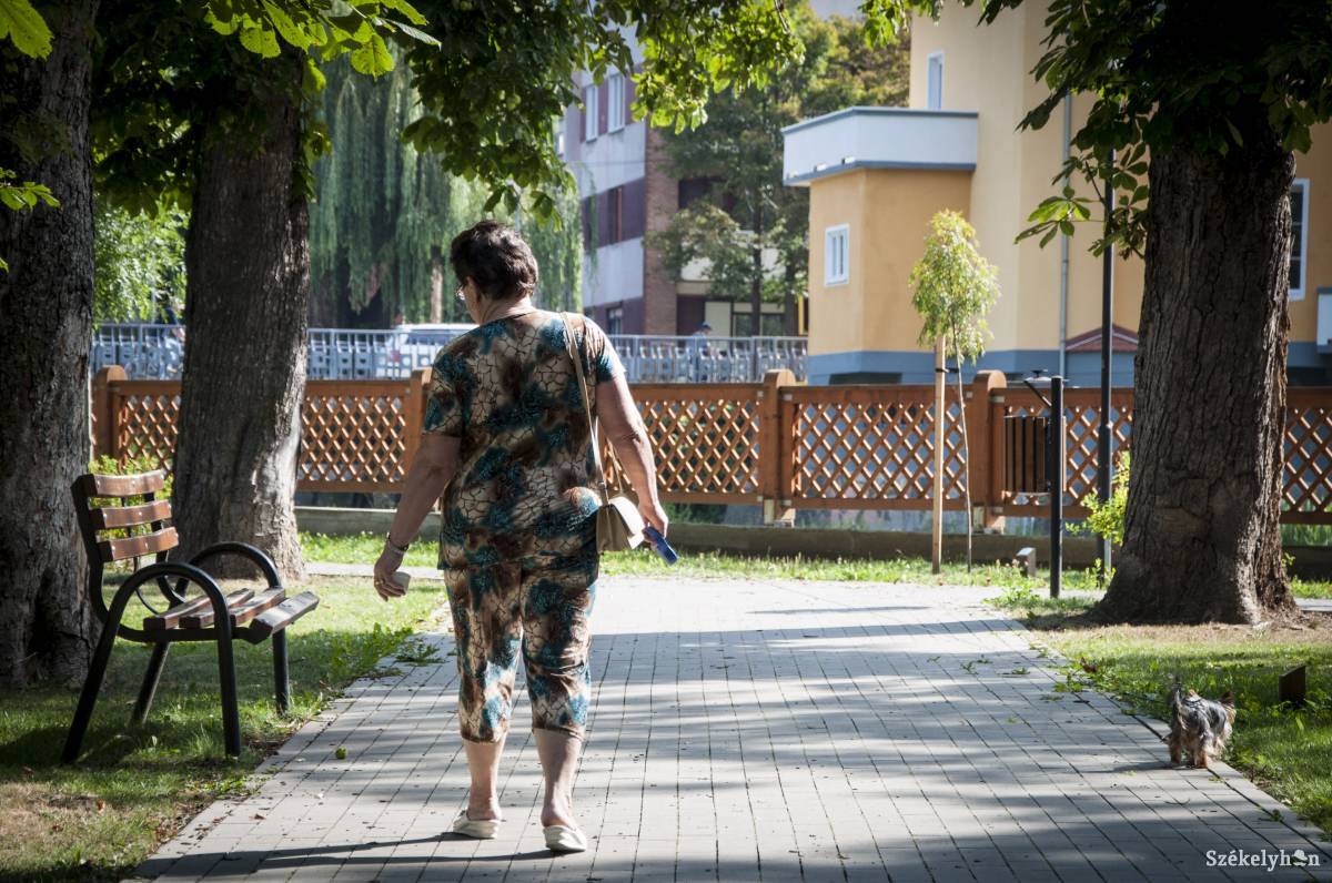 •  Fotó: Lukácsi Lehel