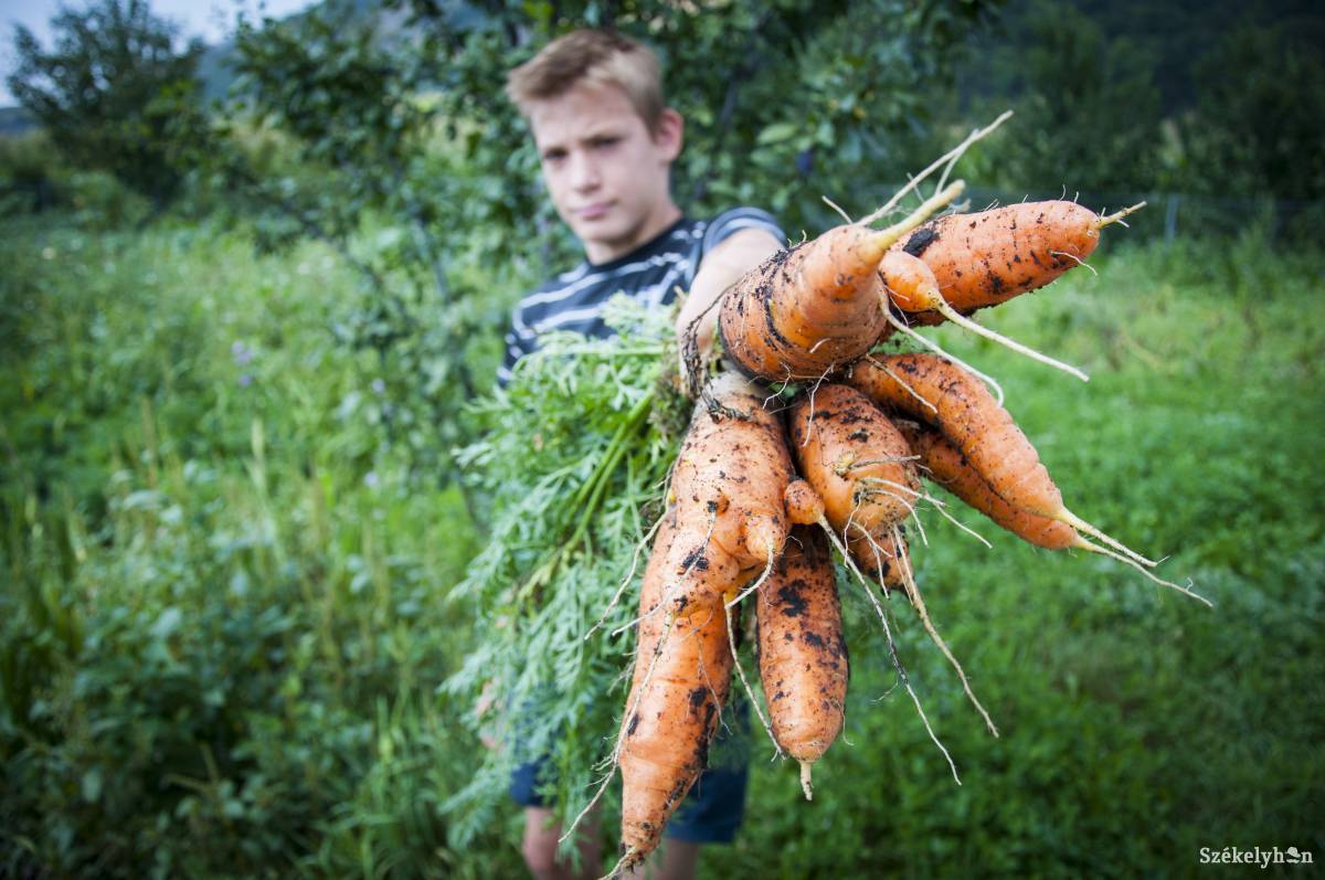 &bullet;  Fotó: Lukácsi Lehel