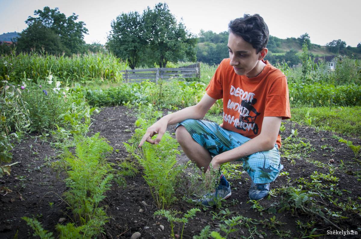 &bullet;  Fotó: Lukácsi Lehel