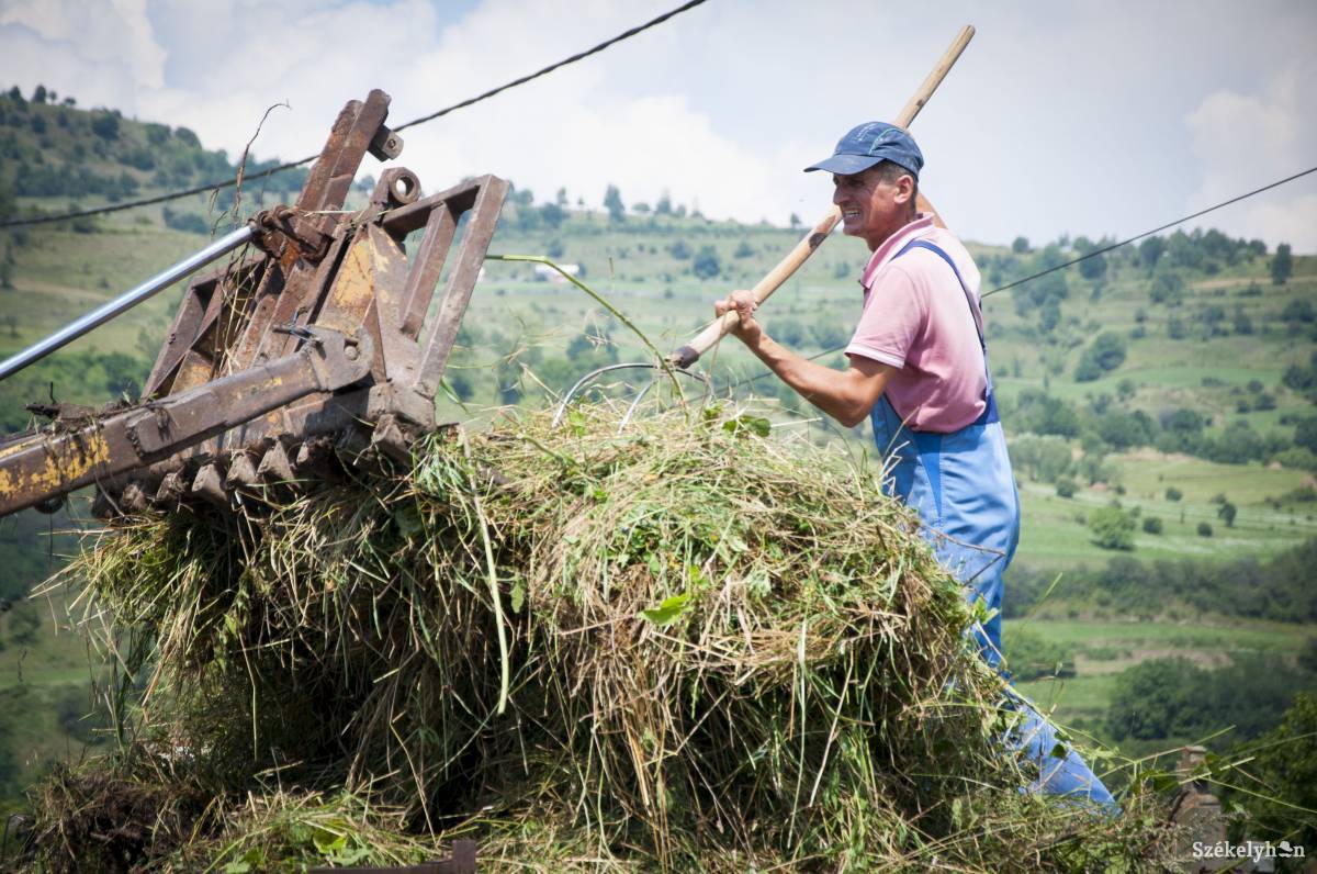 &bullet;  Fotó: Lukácsi Lehel