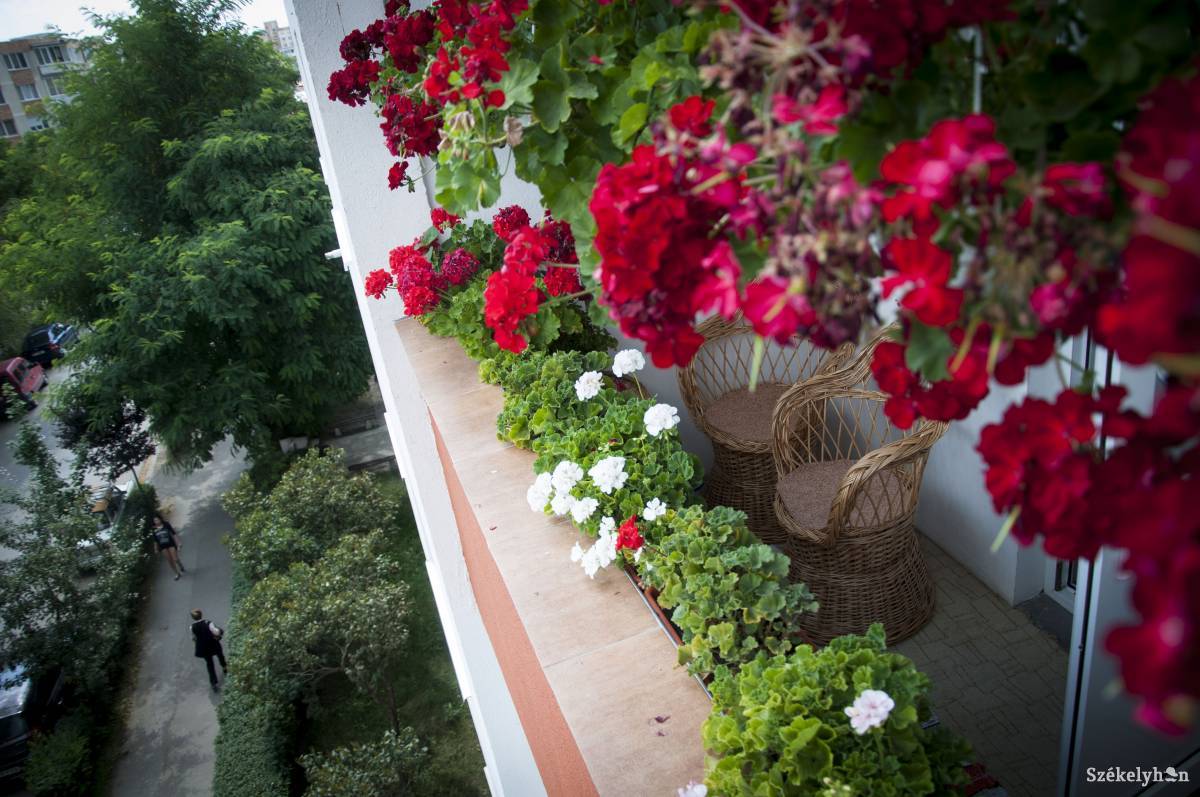 &bullet;  Fotó: Lukácsi Lehel