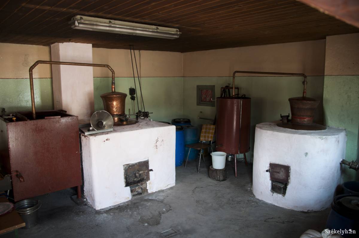 &bullet;  Fotó: Lukácsi Lehel