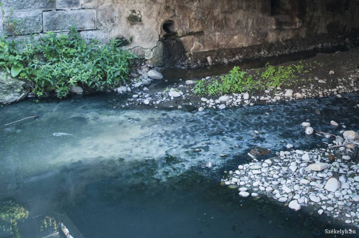 • Fotó: Lukácsi Lehel