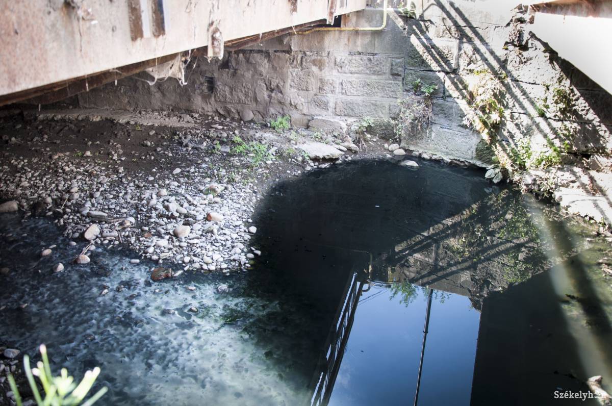 • Fotó: Lukácsi Lehel