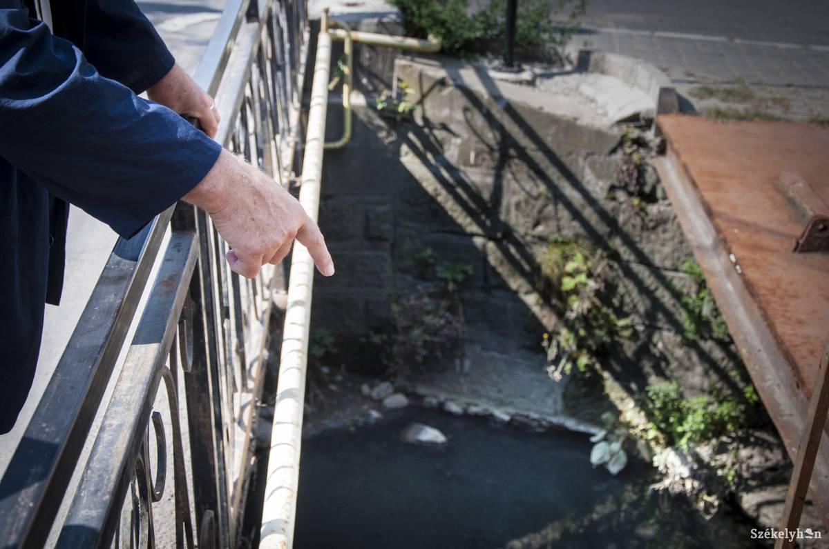 &bullet;  Fotó: Lukácsi Lehel