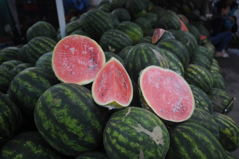 Nehézkesen indul a dinnyeszezon