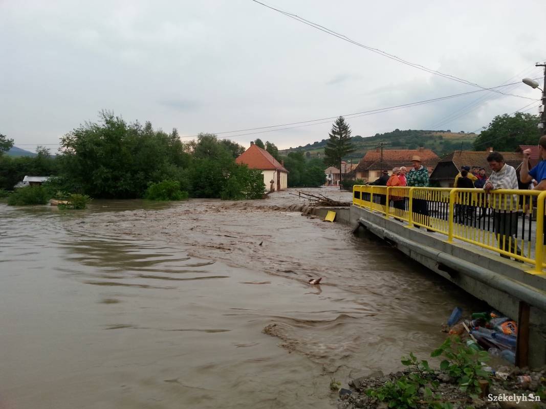 • Fotó: Pál Gábor