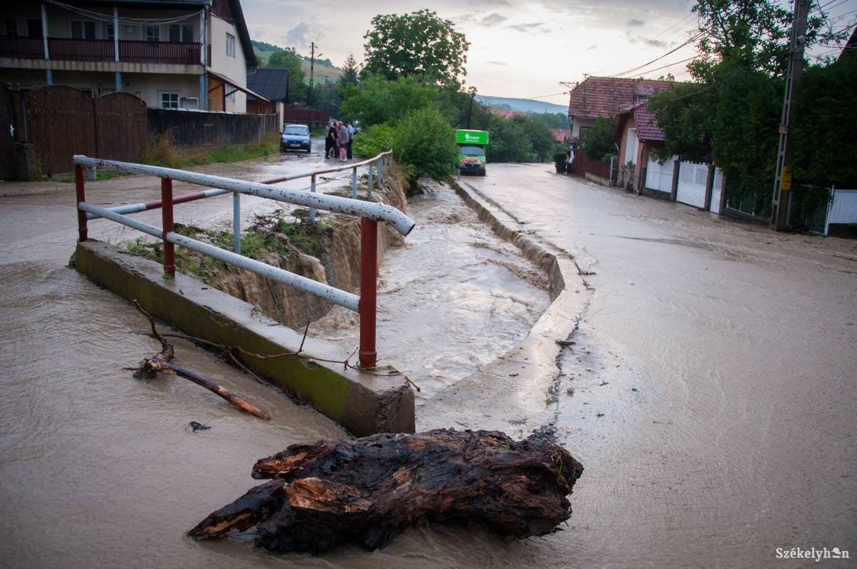 •  Fotó: Lukácsi Lehel
