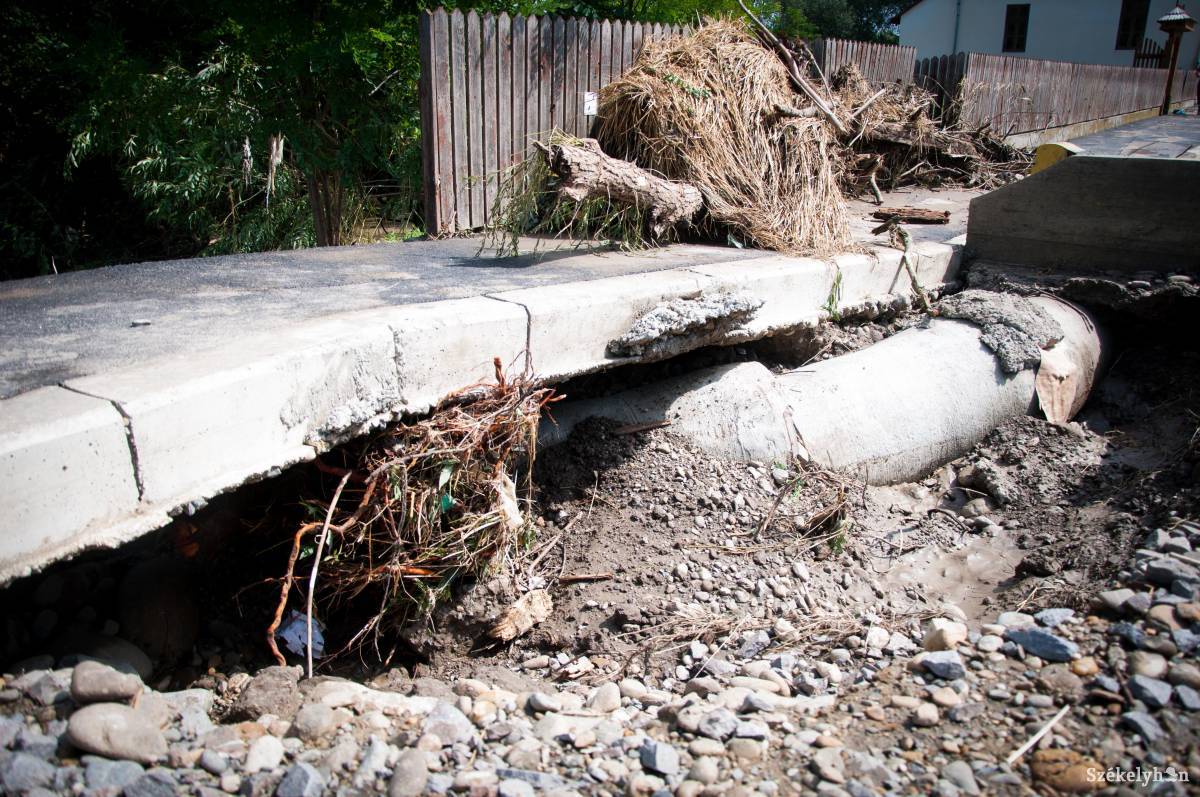 • Fotó: Lukácsi Lehel