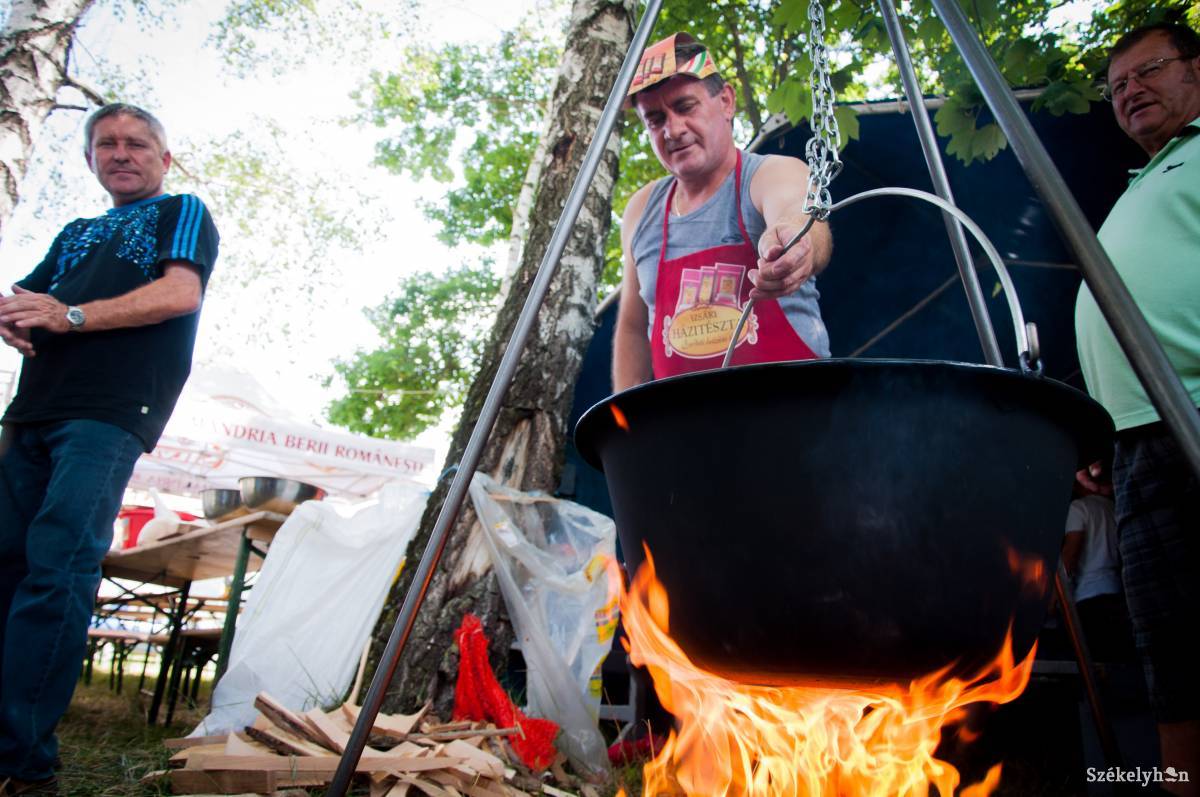 • Fotó: Lukácsi Lehel