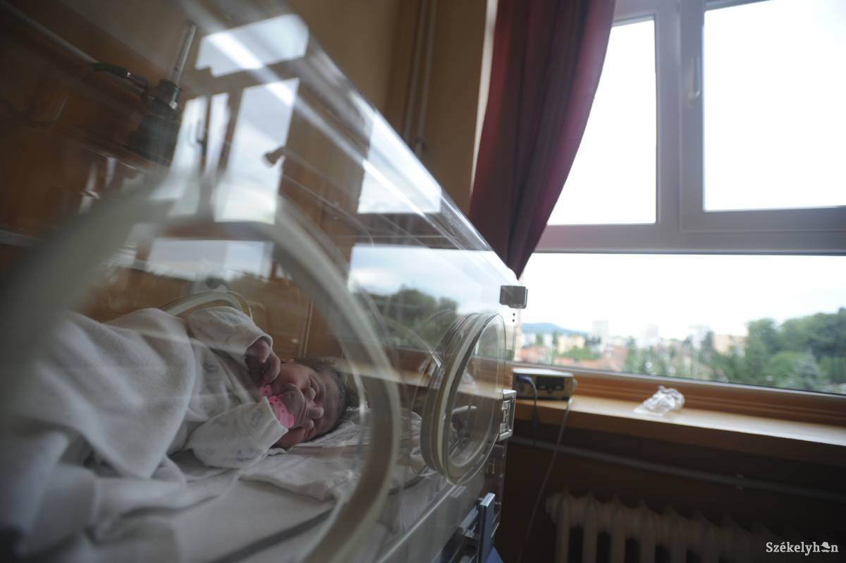 &bullet;  Fotó: Thomas Campean