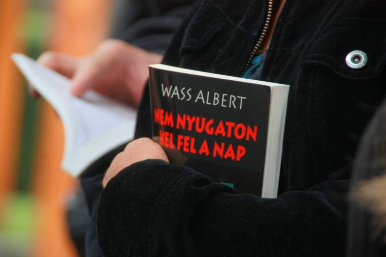 Bűnügyi eljárás indult a már visszavont Wass Albert utcanév ügyében