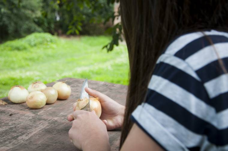 Diákmunkás átverés
